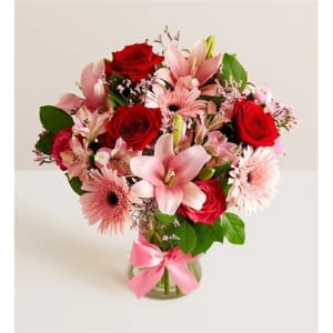 Fields Of Europe Romance