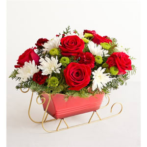 Dashing Through The Snow Sleigh™