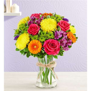 Fields Of Europe® Celebration