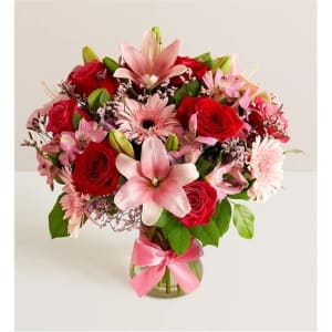 Fields Of Europe Romance