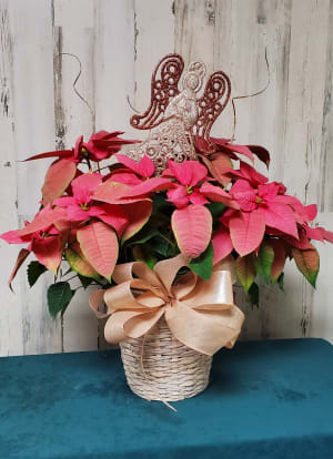 8" pink poinsettia Flower Bouquet