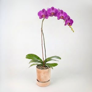 PURPLE Flower Bouquet