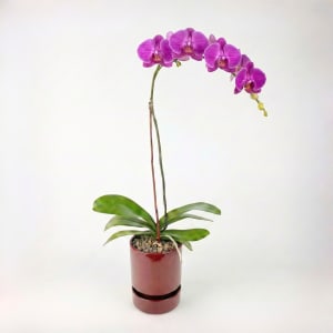 PURPLE Flower Bouquet