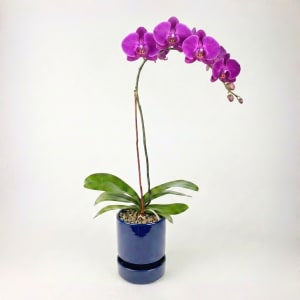 PURPLE Flower Bouquet