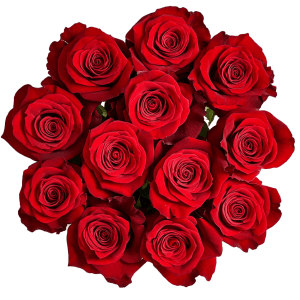 Red Roses Flower Bouquet