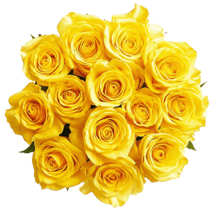 Yellow Roses Flower Bouquet
