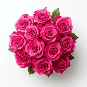 Hot Pink Roses Flower Bouquet