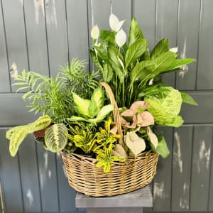 European Lush garden basket Flower Bouquet