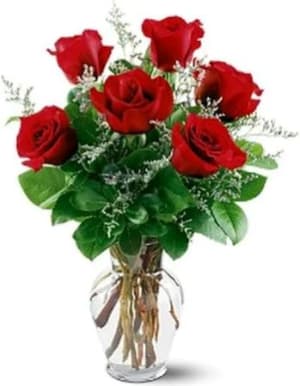 6 roses vased EBF-587 Flower Bouquet