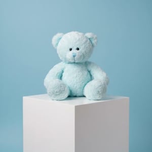 Pink Teddy EBF-642 Flower Bouquet