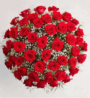Premium Red Rose Vase Arrangement