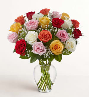 Mixed Color Roses