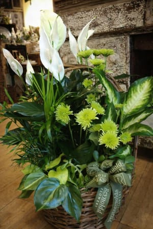 Dish Garden with Green and White Flower Bouquet