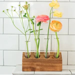 Assorted Bud Vases
