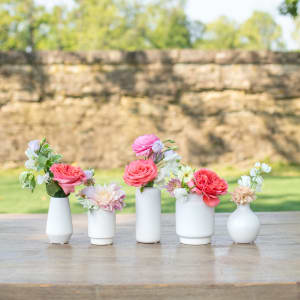 Assorted Bud Vases