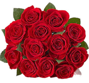 Long Stem Red Roses Wrapped Flower Bouquet