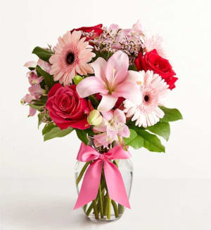 Fields of Europe Romance