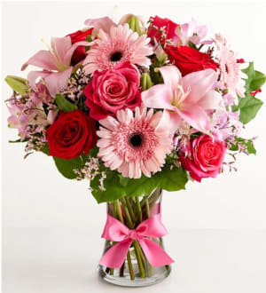 Fields of Europe Romance