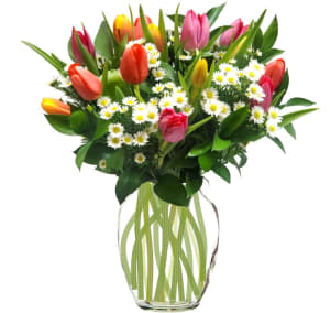 10 Spring Double Tulips (Colors Vary) Flower Bouquet