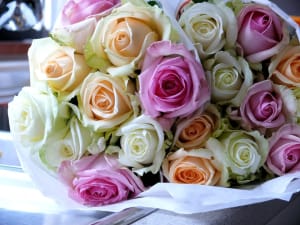 Dozen Mixed Roses, Boxed Flower Bouquet