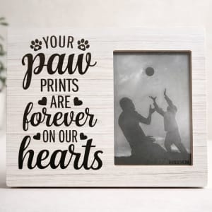 Pet Sympathy Gifts Flower Bouquet