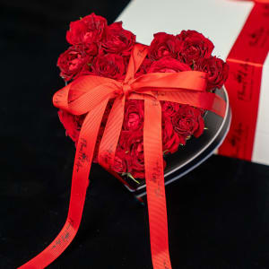 Heartstrings in Bloom