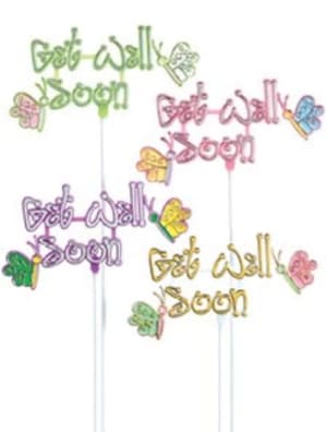 Get Well Soon Plant Pick Flower Bouquet