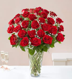 CLASSIC ROMANCE - PREMIUM RED ROSES