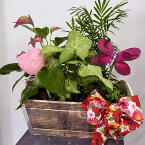 Love In Bloom Planter Box