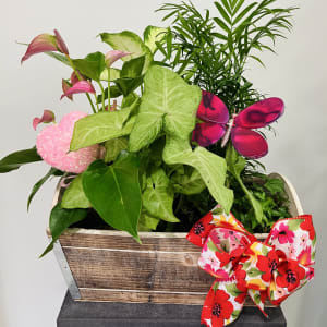 Love In Bloom Planter Box