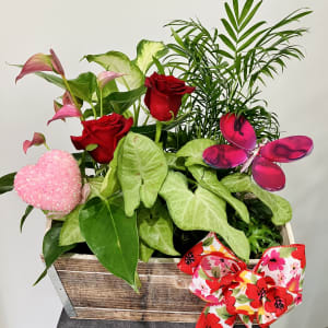Love In Bloom Planter Box