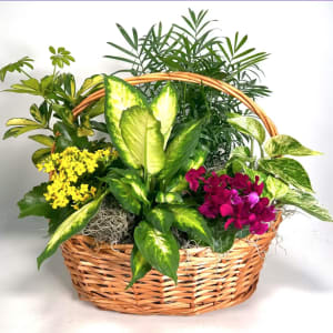 Emerald Garden Basket Flower Bouquet