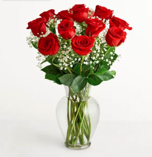 Red Roses With Million Stars Flower Bouquet