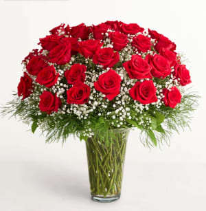 Red Roses With Million Stars Flower Bouquet