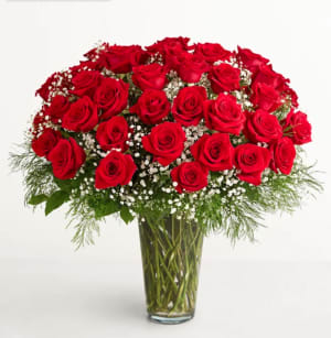 Red Roses With Million Stars Flower Bouquet