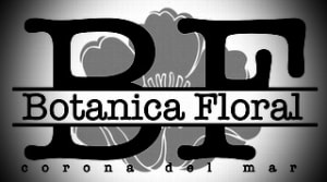 Botanica Floral - Corona del Mar, CA Florist