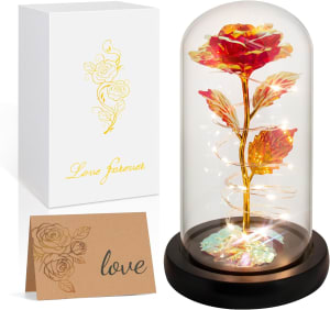 Love Forever Rose Lighted