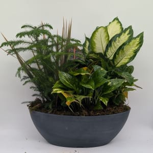 Large Oval Dish Garden Flower Bouquet