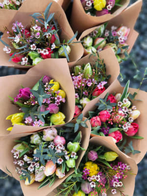 Women’s Day Tulip Bundle