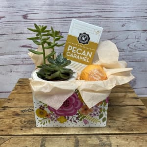 Mindful Moments Plant Gift Set Flower Bouquet