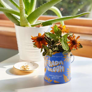 Modern Sprout Grow Kits Flower Bouquet