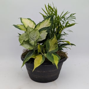 Small Round Dish Garden Flower Bouquet