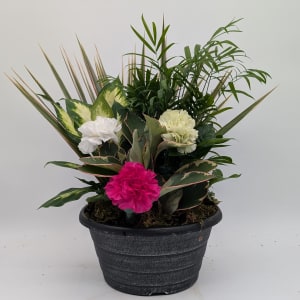 Small Round Dish Garden Flower Bouquet