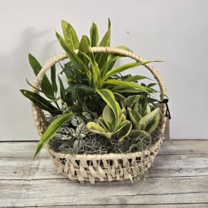 Wicker Basket Dish Garden Flower Bouquet