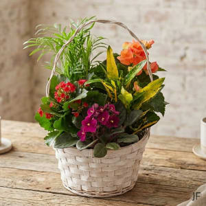 Flowering Dish Garden