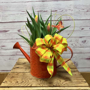 Blooming Tulip Plant Flower Bouquet