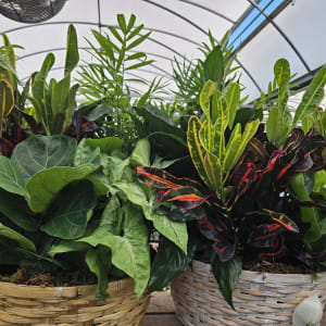 Planter Flower Bouquet