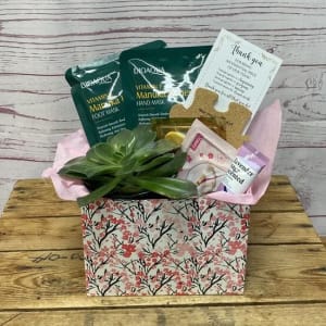 Thanks A Million Plant & Gift Set