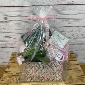 Thanks A Million Plant & Gift Set