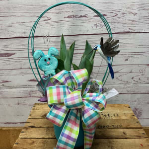 Blooming Tulip Plant